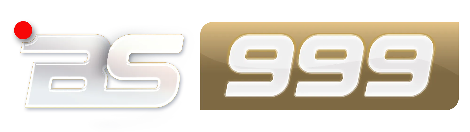 bs999 logo